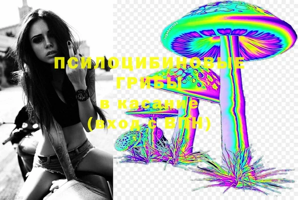 мяу мяу мука Белоозёрский