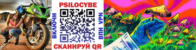 OMG маркетплейс  купить закладку  Покровск  Галлюциногенные грибы MAGIC MUSHROOMS 